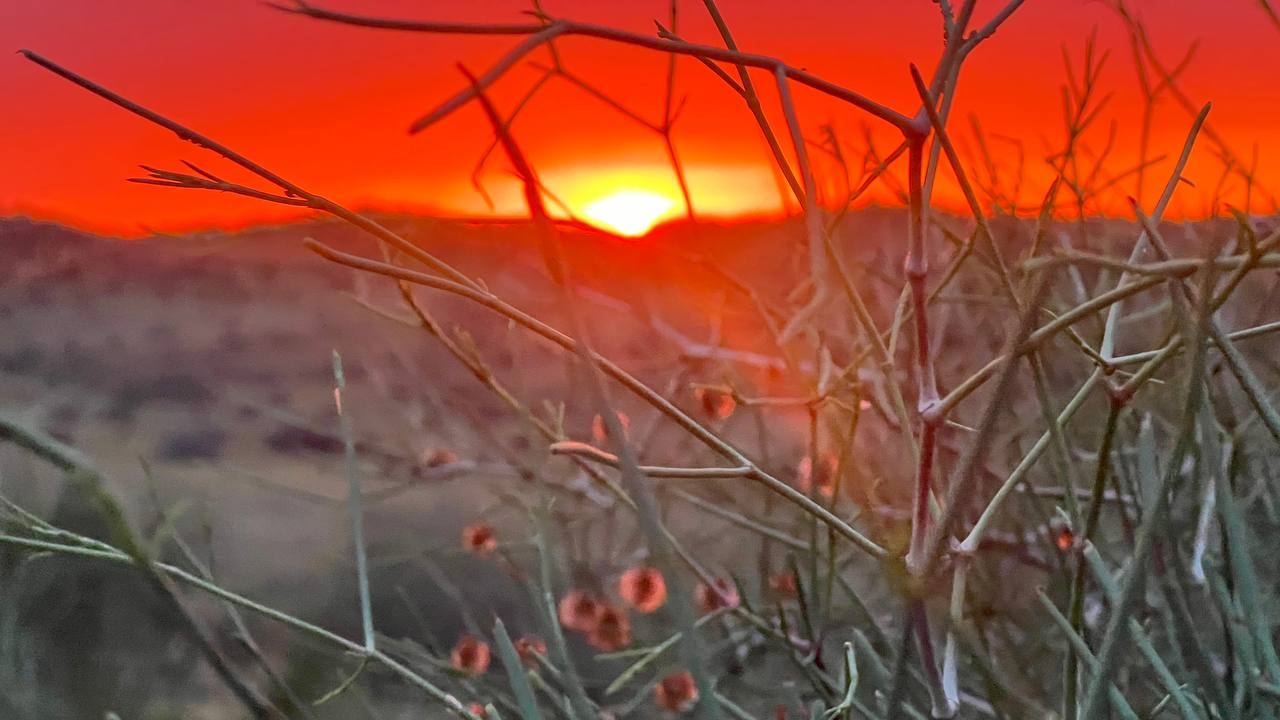 The sun setting red behind desert shrubs near the camp